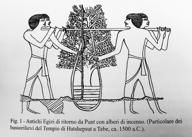 ETIOPIA, REGNO DELL'INCENSO